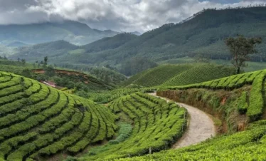 Kerala 5N 6D